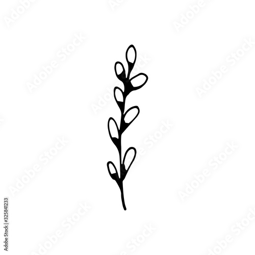 Cute single hand drawn easter herbal elements. Verba, salix alba. Spring flowers. Doodle vector illustration for wedding design, logo, greeting card and seasonal design