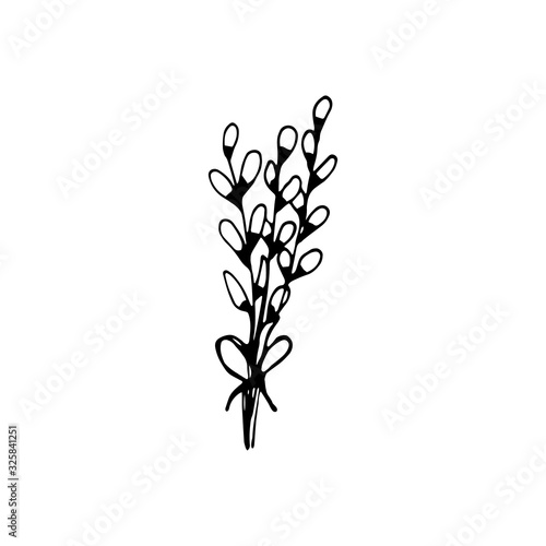 Cute single hand drawn easter herbal elements. Verba, salix alba. Spring flowers. Doodle vector illustration for wedding design, logo, greeting card and seasonal design