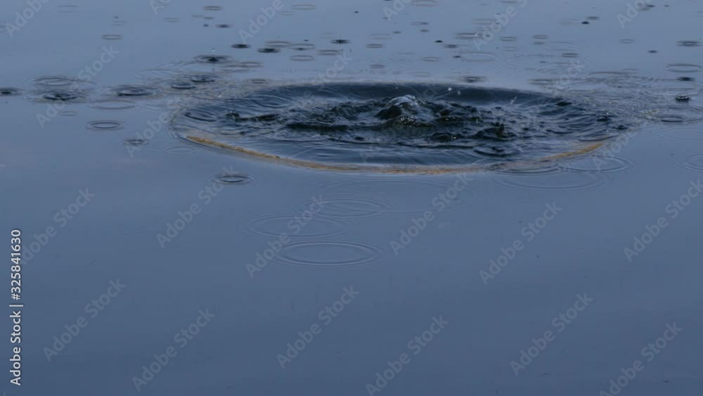 Ripples in water Ripples in water