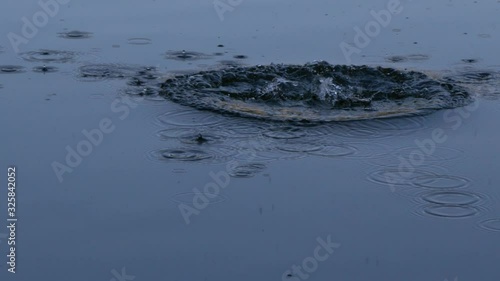 A rock splashes into a calm water surface and creates ripples