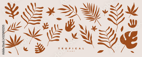 Set of exotic palm leaves of various shapes and sizes vector illustration on a light background. Tropical plants. Terracotta color plant collection in flat style. Elements for ecological design.