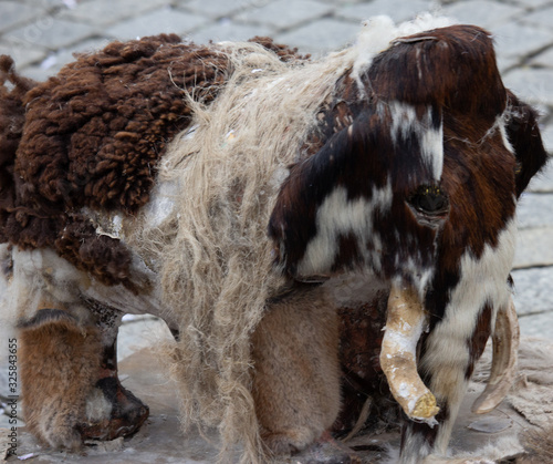 Closeup Portrait of a masked person on a carnival parade