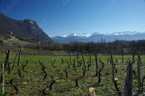 PAYS SAVOYARD photo