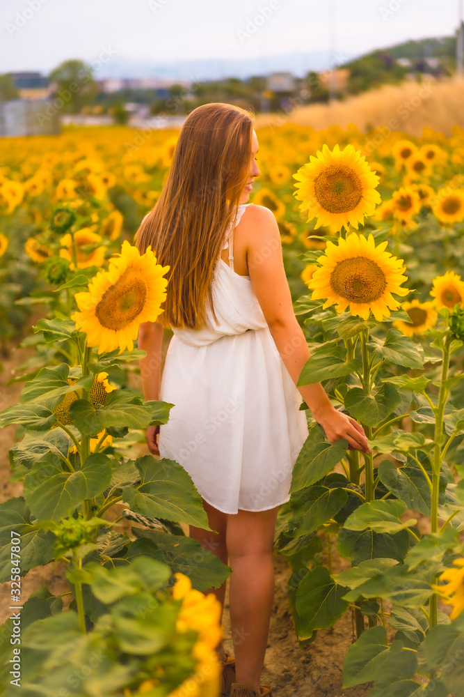 Lifestyle, a caucasian blonde walking among beautiful sunflowers Lifestyle, a caucasian blonde walking among beautiful sunflowers