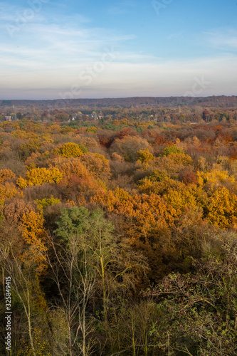 Colorful autumn trees in the Sechs-Seenplatte recreation area in Duisburg, North Rhine-Westphalia, Germany