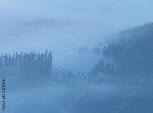 Misty forest in the morning in the basque country, spain © urdialex