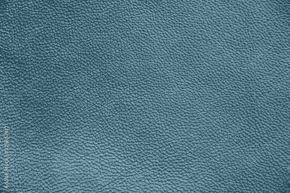 Genuine Leather. Blue background. The texture of the skin close-up. Genuine Leather. Blue background. The texture of the skin close-up.