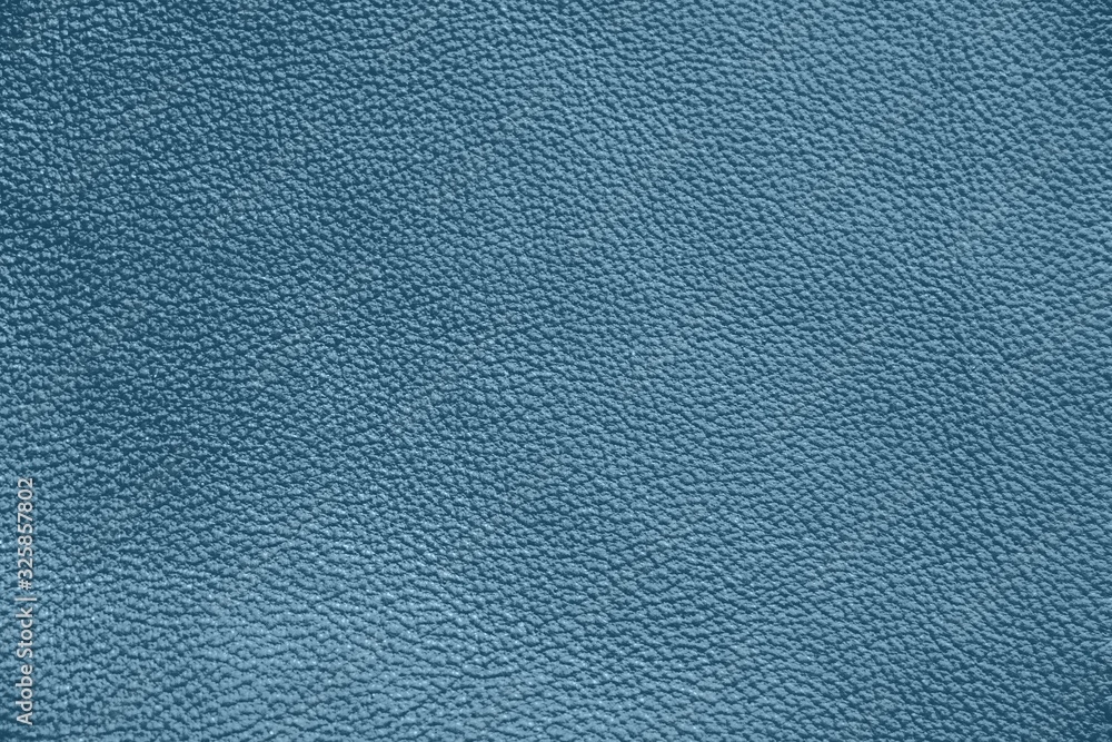 Genuine Leather. Blue background. The texture of the skin close-up. Genuine Leather. Blue background. The texture of the skin close-up.