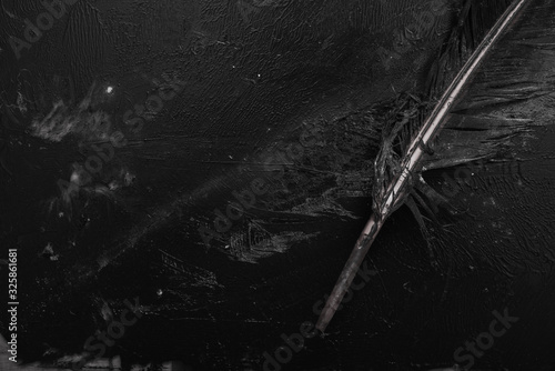 Photography Concept of Environmental Pollution a birds feather is damaged and covered in oil
