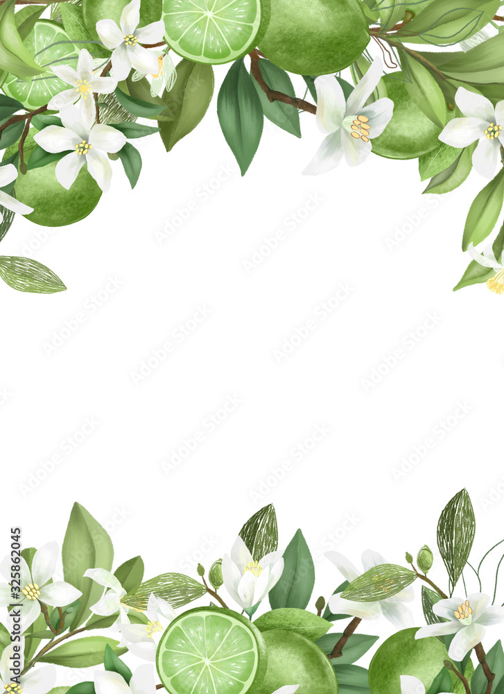 Card template, frame of hand drawn blooming lime tree branches, flowers and limes on white background