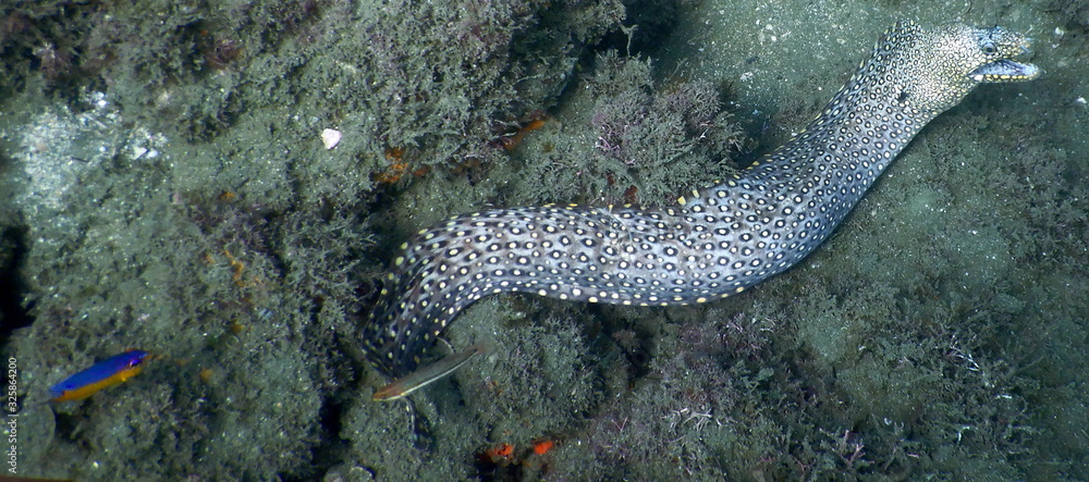 Underwater Underwater