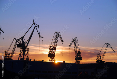 silhouettes of cranes in industrial harbor during sunset