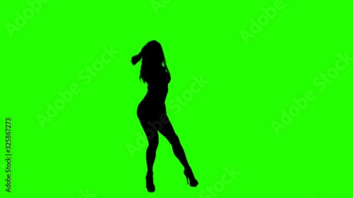 Beautiful Slim Girl Dancing Slowly On a Green Background. Sexual Female Silhouette with Alpha Channel. photo