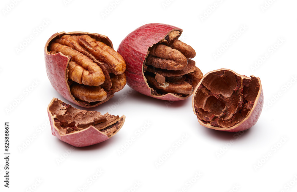 Pecan Isolated on White Background Pecan Isolated on White Background