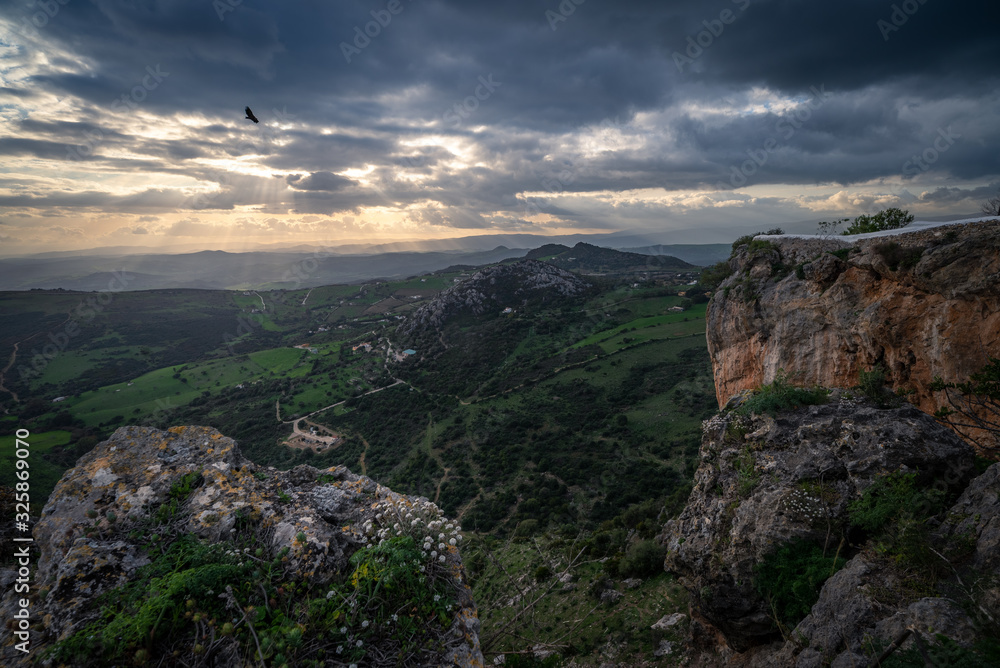 Paisaje con buitre al atardecer Paisaje con buitre al atardecer