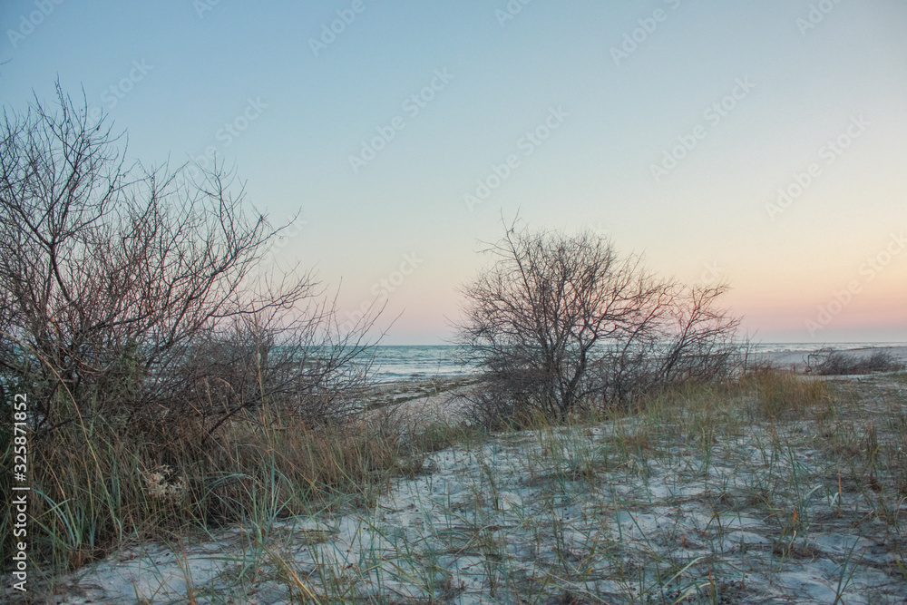 Landscape of Jarylgach Island, Ukraine. Black Sea coast in evening. Landscape of Jarylgach Island, Ukraine. Black Sea coast in evening.