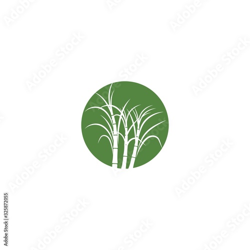 Sugar cane plant logo