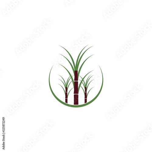 Sugar cane plant logo