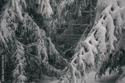 Multiday hike on snowshoes in Beskydy mountains photo