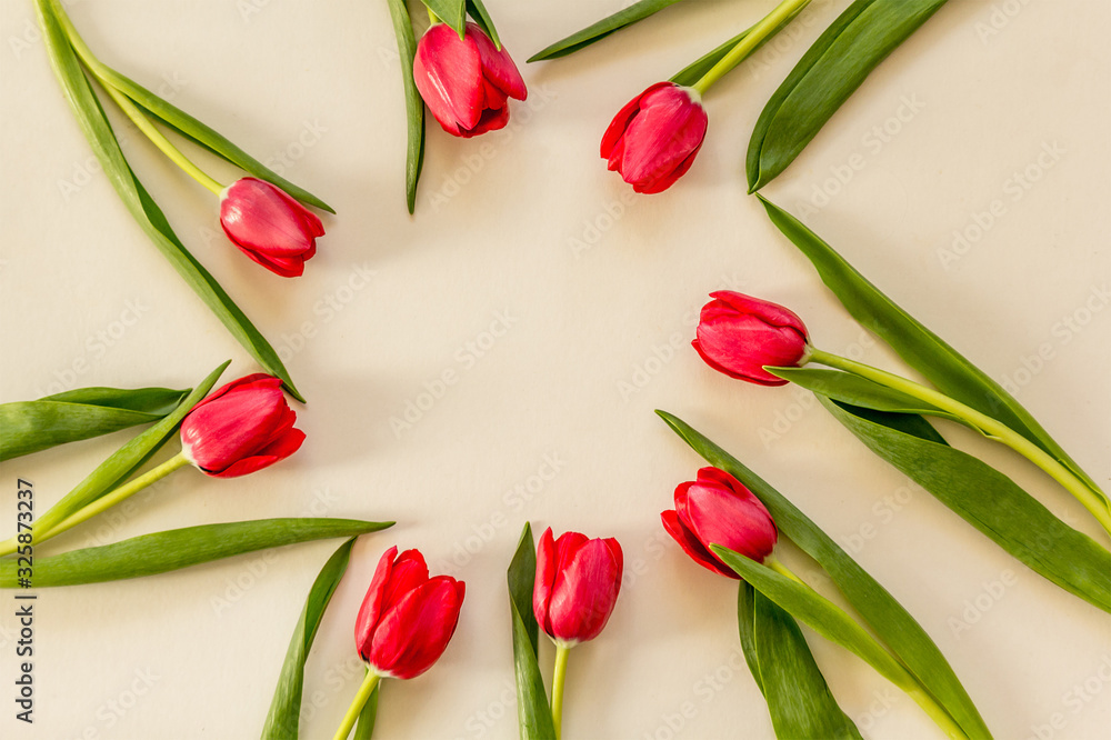 Red Spring tulips on creampaper background Red Spring tulips on creampaper background