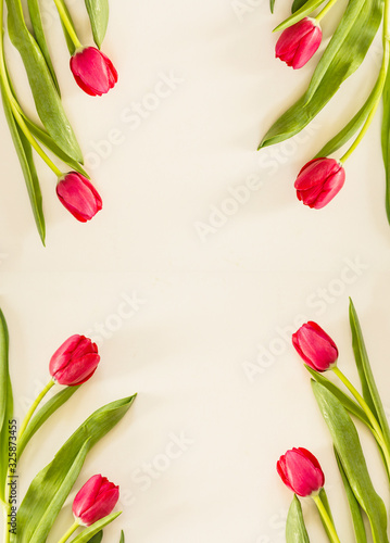 Red Spring tulips on creampaper background