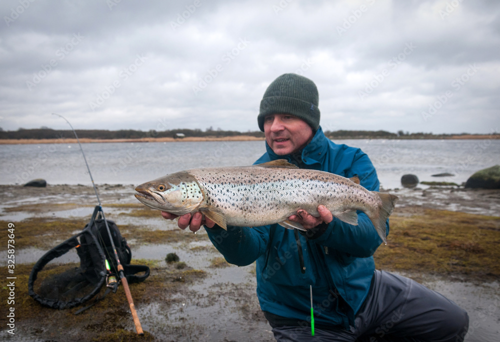 Huge winter sea trout on spinning rod Huge winter sea trout on spinning rod