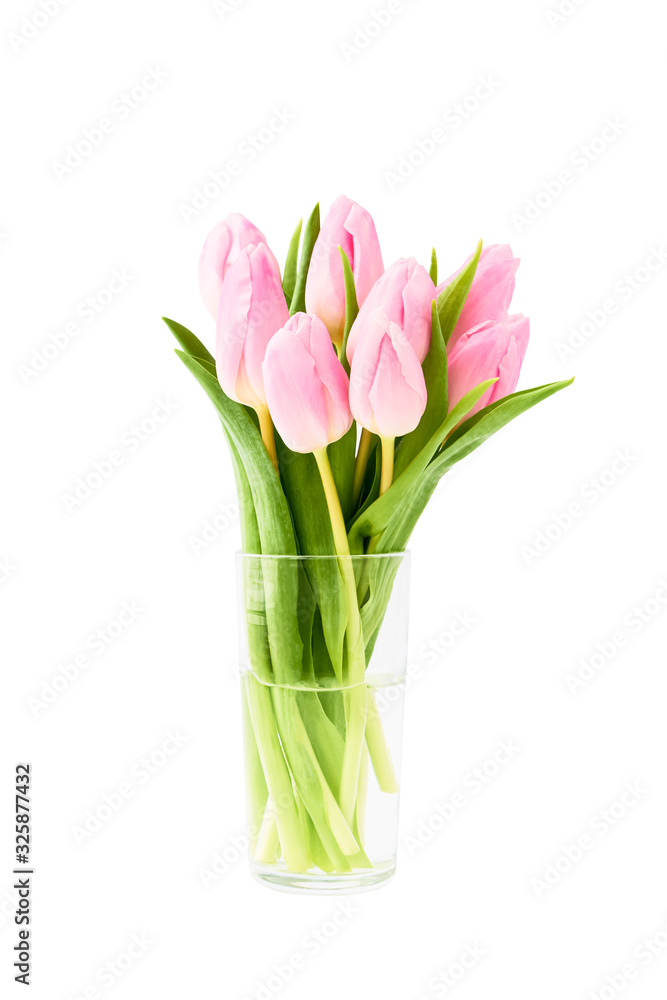 Bouquet of pink tulips in glass flower vase, isolated over white background.
