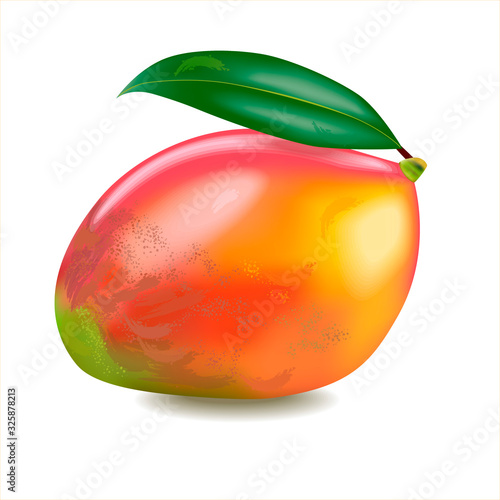 Ripe mango fruit with leaf isolated on white background. Realistic vector illustration.