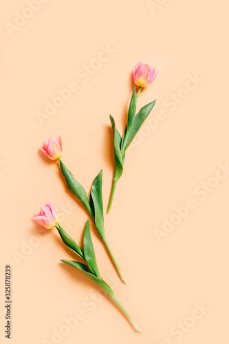 Fototapeta Naklejka Na Ścianę i Meble -  Floral pattern with pink tulip flowers on beige background. Flat lay. Top view.