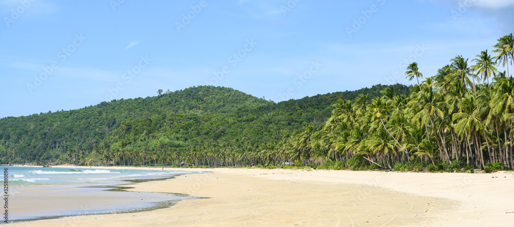 Stunning view of a white sand beach flanked by green hills and beautiful coconut palm trees. Nacpan Beach, El Nido, Palawan, Philippines.