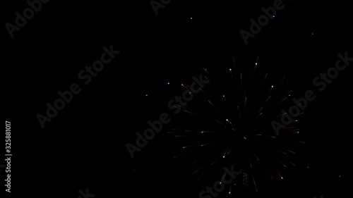 Wallpaper Mural Firework explosion on black background for new year, holiday, Invitation, birthday, wadding, anniversary, party, celebration with high speed cinema camera at 4k. Torontodigital.ca