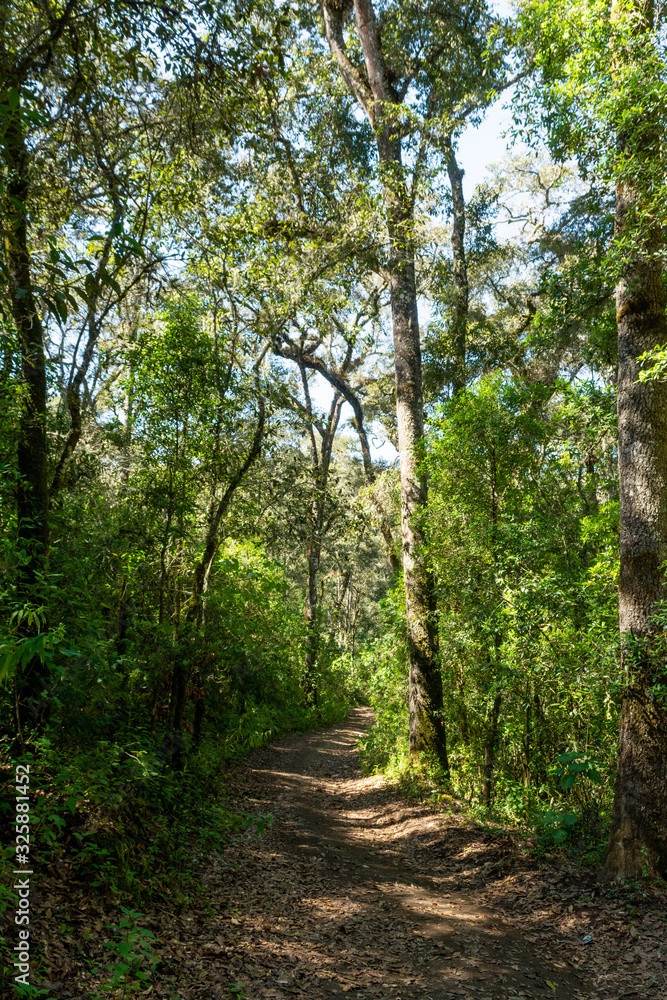 Fototapeta premium la laguna