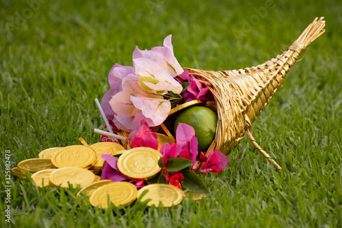 Fotografie Cuerno de la abundancia con flores, monedas de oro, dulces y fruta sobre un camp