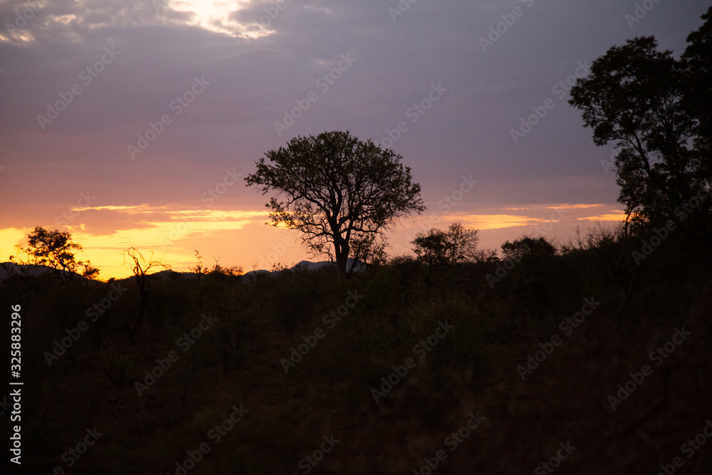 Madikwe Game Reserve Sunset 