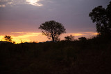 Madikwe Game Reserve Sunset 