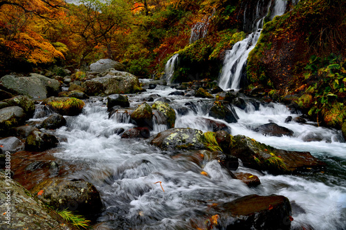 秋の紅葉の中の渓流