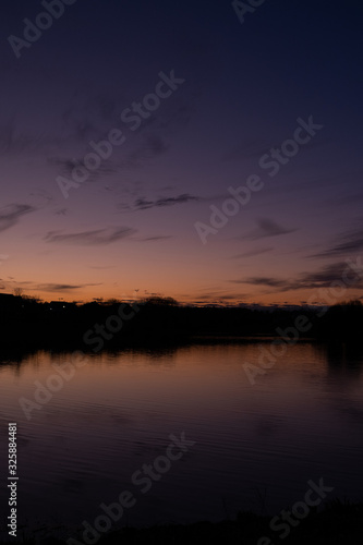 Magenta Sunset