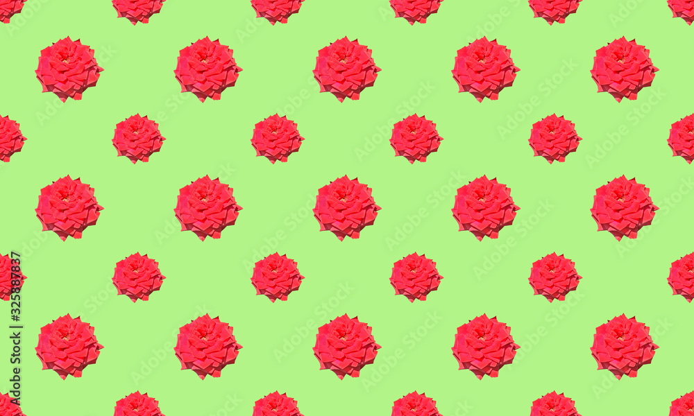 Red rose. Seamless pattern. Red rose. Seamless pattern.