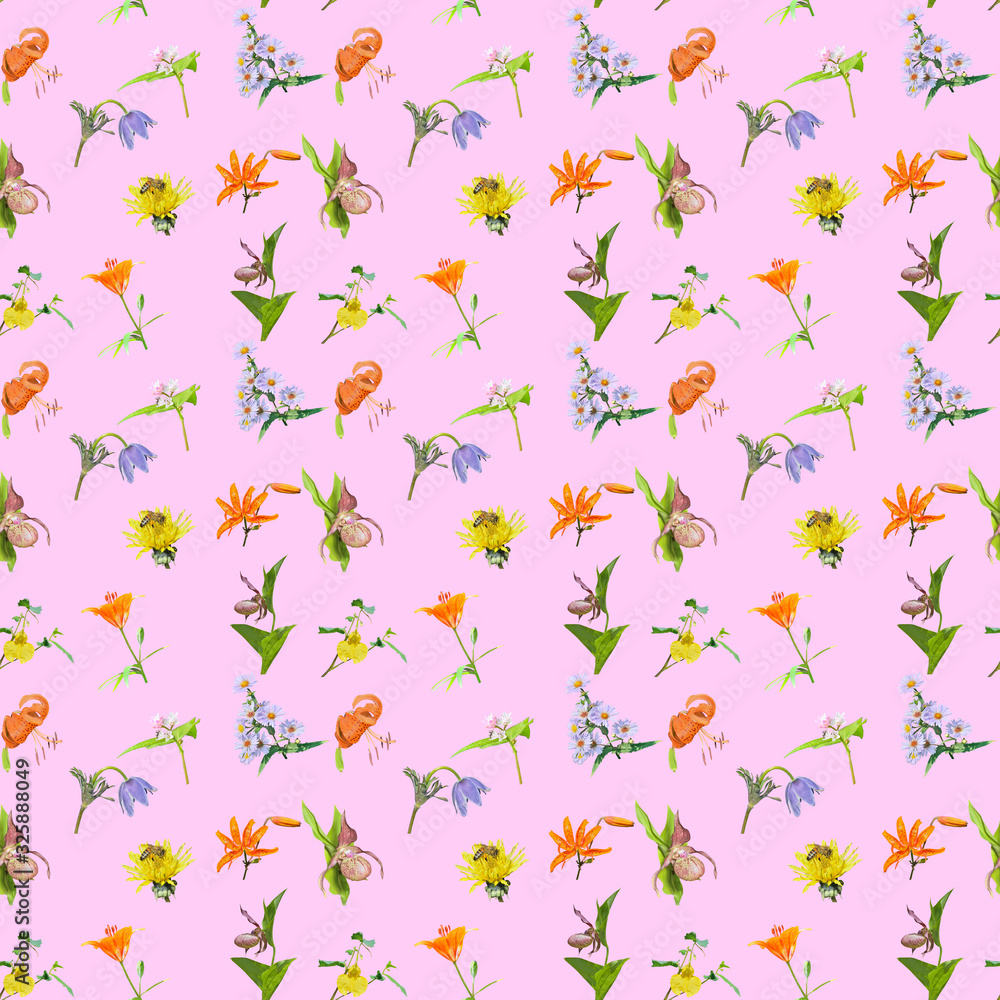Wild flowers. Seamless pattern. Wild flowers. Seamless pattern.