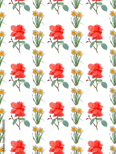 Red rose and narcissus. Seamless pattern.