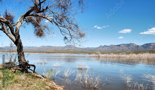 View from Lake Roosevelt, Arizona photo