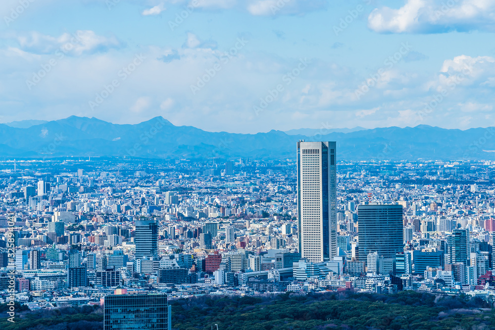 Obraz premium 東京の都市風景