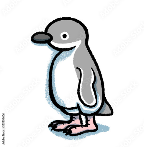 ハネジロペンギン
