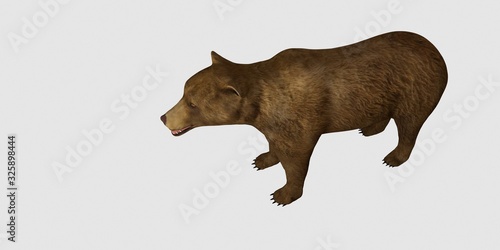 Extremely detailed and realistic high resolution 3d illustration of a brown bear isolated on white background