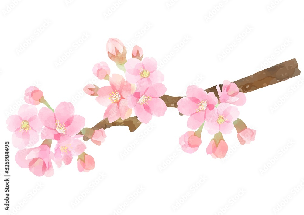 Naklejka premium 桜の枝