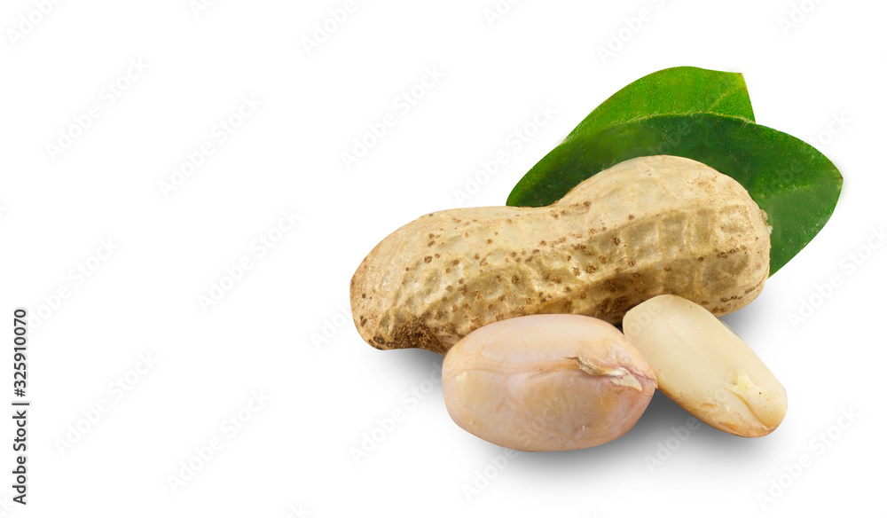 Obraz premium Peanuts isolated on white background.