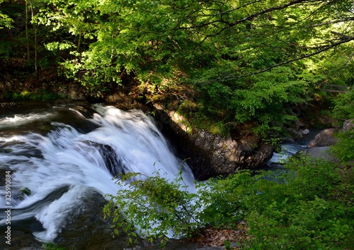 初夏の森の奥の滝の風景