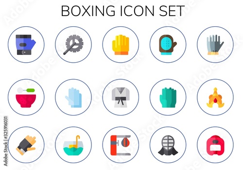 boxing icon set