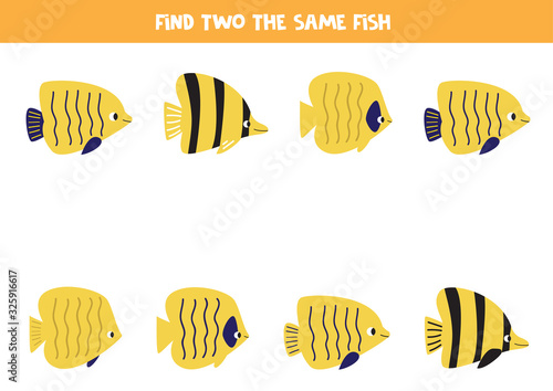 Educational game for children. Find two identical fish.