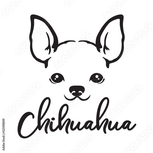 Chihuahua dog face line art sketch vector illustration.